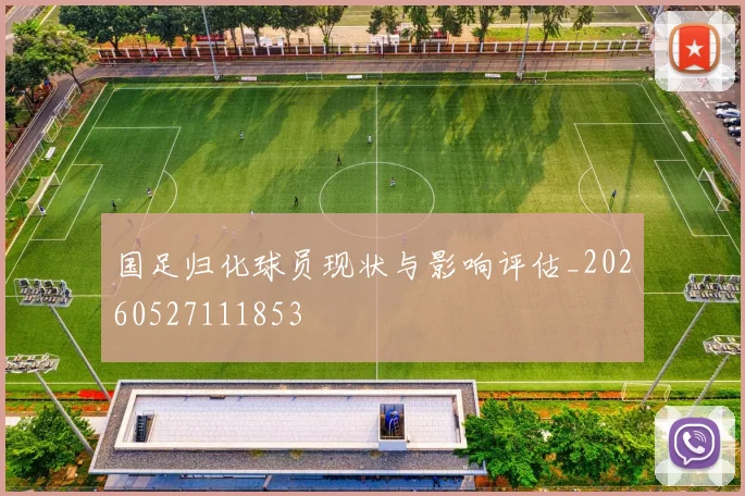 国足归化球员现状与影响评估_20260527111853
